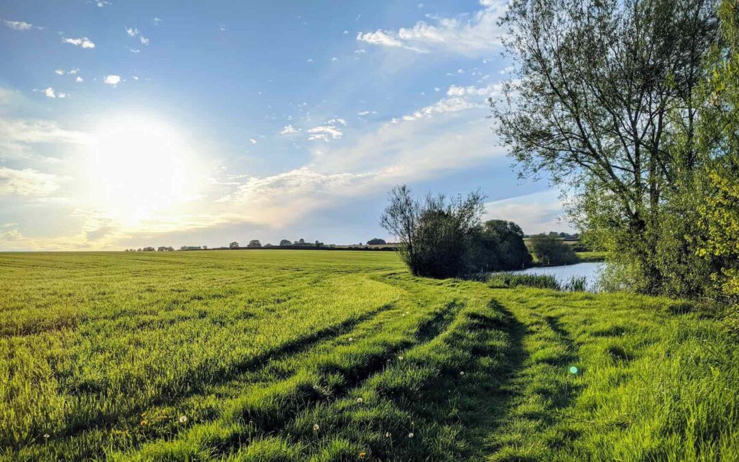 Wellbeing: Managing Workload